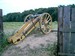 CANNON 1:1