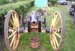 CANNON 1:1