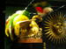 PICT0137.JPG