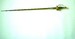 SMALLSWORD