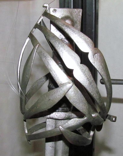 SCHIAVONA